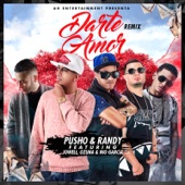 Darte Amor (Remix) [feat. Ozuna, Jowell & Nio Garcia] artwork