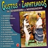 Gustos y Zapateados De Guerrero y Michoacán, Vol. 1 (Con las Mejores Bandas)