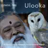 Meditation Tunes - Pakshi / Bird - Ulooka album lyrics, reviews, download