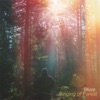Singing of Forests - Single