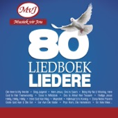 80 Liedboek Liedere artwork