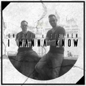 I Wanna Know artwork