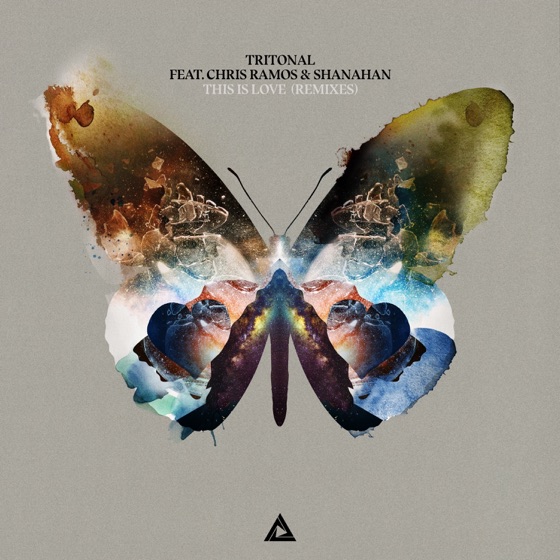 Cover artwork for This Is Love (Kayzo Remix)