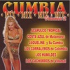Cumbia Mix, Vol. 2
