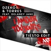 Dzeko & Torres Feat. Delaney Jane - Air