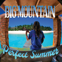 Big Mountain - Perfect Summer artwork