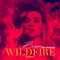 Wildfire (Tony Arzadon Club Mix) - Bean lyrics