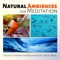 Music to Relax in Free Time - Nature Meditation Academy lyrics