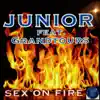 Sex On Fire (Cover) [feat. Grandtours] - Single album lyrics, reviews, download