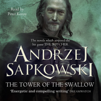 Andrzej Sapkowski - The Tower of the Swallow: A Witcher Novel (Unabridged) artwork