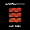 Easy Tiger (Radio Edit) song lyrics