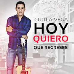 Hoy Quiero Que Regreses - Single - Cuitla Vega