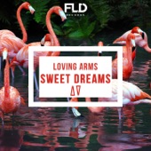 Sweet Dreams (Radio Edit) artwork