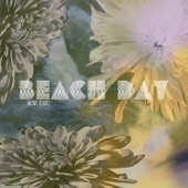 Beach Day - All My Friends Were Punks