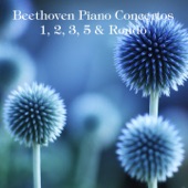 Piano Concerto No. 5 in E-Flat Major, Op. 73 "Emperor": III. Rondo. Allegro artwork