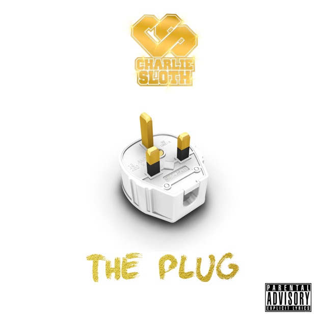 Image result for charlie sloth the plug