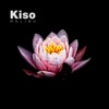 Kiso - Malibu (feat. Yvette)