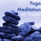 White Noise (Crickets) - Yoga Music lyrics