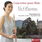 Vers le romantisme: Concertos pour flûte artwork