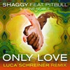 Only Love (feat. Pitbull & Gene Noble) [Luca Schreiner Island House Mix] - Single, 2015