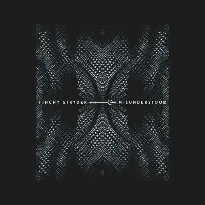 Misunderstood - Single - Tinchy Stryder