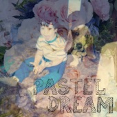 Pastel Dream - Shell