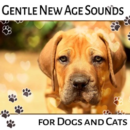 spa music for dogs