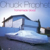 Chuck Prophet - Textbook Case