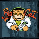 Big Cat - Under the Bridge