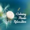 Sea Song (Calming Music) - Serenity Music Relaxation lyrics