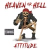 Attitude