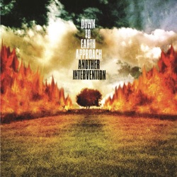 Down to Earth Approach - Exhibit of the Year