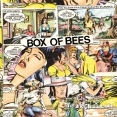 The Arch Cupcake - Box of Bees
