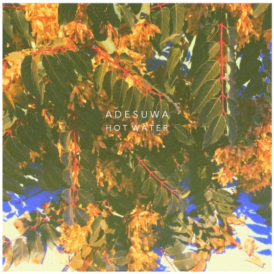Cover artwork for Hot Water