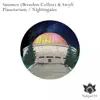 Planetarium / Nightingales - Single album lyrics, reviews, download