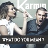 What Do You Mean? - Single, 2015