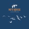 Dans tes yeux - Patte Rousse lyrics