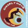 Bongo Boy Records: Gnarly Wave, Vol. 1