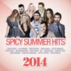 Spicy Summer Hits 2014
