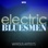 101 - The Best of Electric Bluesmen