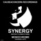 Synergy (Abstract Elements Remix) - Cause4Concern lyrics