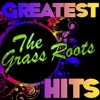 The Grass Roots - The River Is Wide