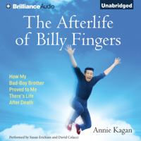 Annie Kagan - The Afterlife of Billy Fingers: How My Bad-Boy Brother Proved to Me There's Life After Death (Unabridged) artwork