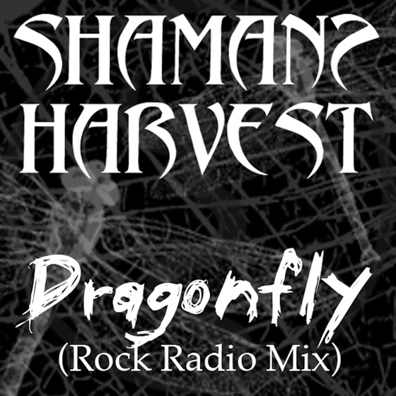 Cover artwork for Dragonfly (Radio Mix)