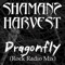 Dragonfly (Radio Mix) - Shaman's Harvest lyrics