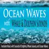 Ocean Waves With Whale & Dolphin Sounds: Ambient Music With Sounds of Dolphins, Whale Sounds, And Ocean Waves album lyrics, reviews, download
