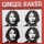 Ginger Baker - Don't Care