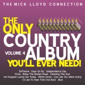 The Only Country Album You Will Ever Need!, Volume 4 artwork