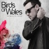 Birds of Wales - Just Right
