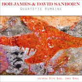 Bob James& David Sanborn - Deep in the Weeds